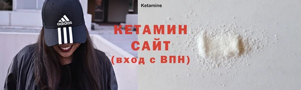 прущие крисы Ельня