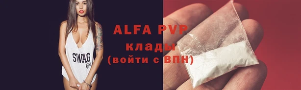 прущие крисы Ельня