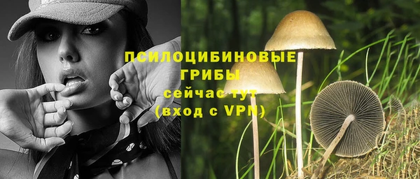 МДМА Елизово