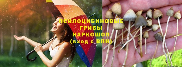 МДМА Елизово